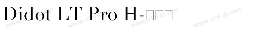 Didot LT Pro H字体转换
